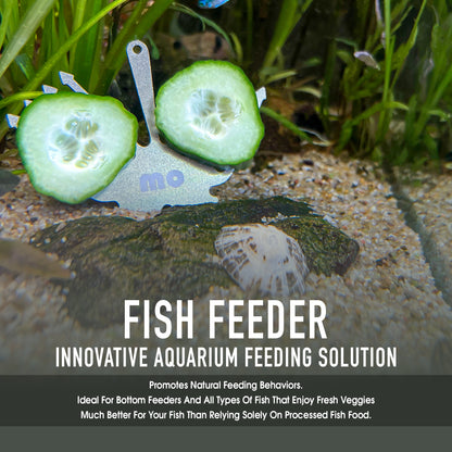Stainless Steel Veggie Clip & Cucumber Feeder for Plecos and Bottom Feeders (Suction Cup)