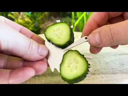 Aquarium Veggie Clip & Cucumber Feeder for Plecos & Bottom Feeders – Stainless Steel with Suction Cup